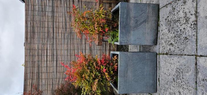 Prachtige plantenbakken inclusief planten!, Tuin en Terras, Bloembakken en Plantenbakken, Gebruikt, Steen, Tuin, Vierkant, Ophalen of Verzenden