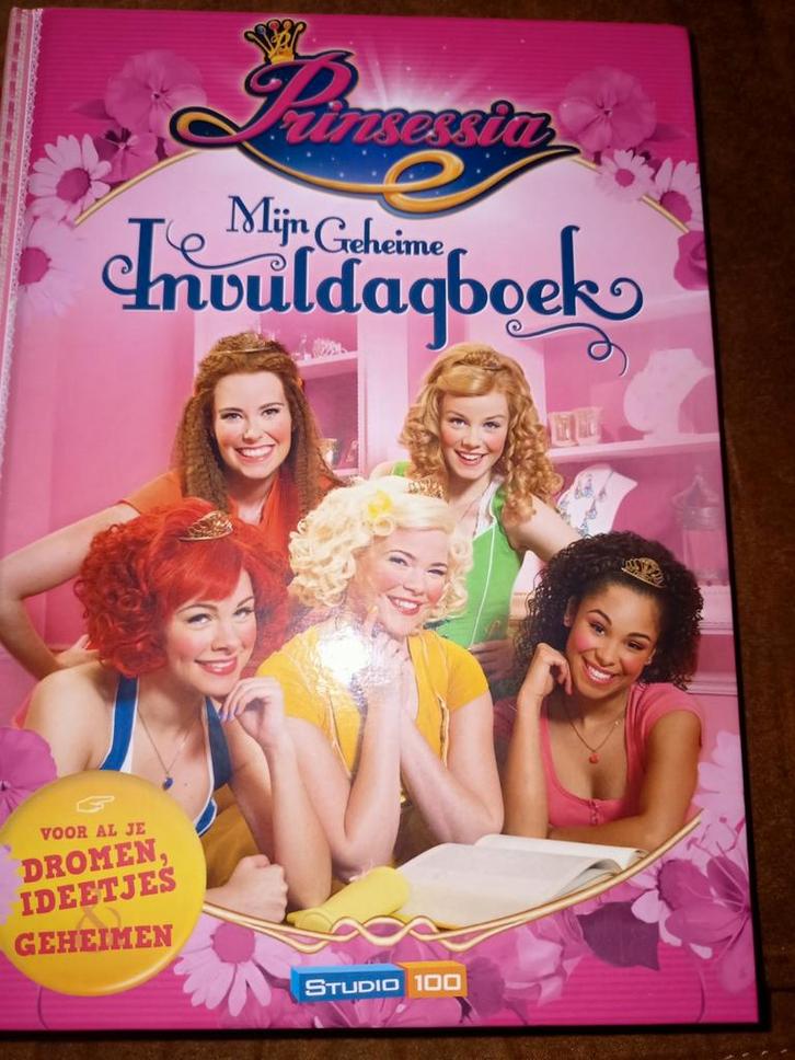 Gert Verhulst - Mijn geheime invuldagboek, Boeken, Kinderboeken | Jeugd | onder 10 jaar, Zo goed als nieuw, Ophalen of Verzenden