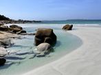 Kleine camping Bretagne bij Nederlandse familie, Open haard, In bos, Landelijk