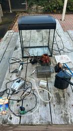 Aquarium compleet    Bieden vanaf €50,-, Dieren en Toebehoren, Vissen | Aquaria en Toebehoren, Ophalen, Zo goed als nieuw, Gevuld zoetwateraquarium