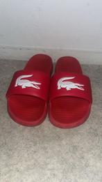 Lacoste Rode Slippers, Kleding | Heren, Schoenen, Ophalen, Gedragen, Overige kleuren, Slippers