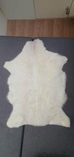 Echt Vacht Huid - Decoratief, Huis en Inrichting, Gebruikt, 50 tot 100 cm, Crème, 50 tot 100 cm