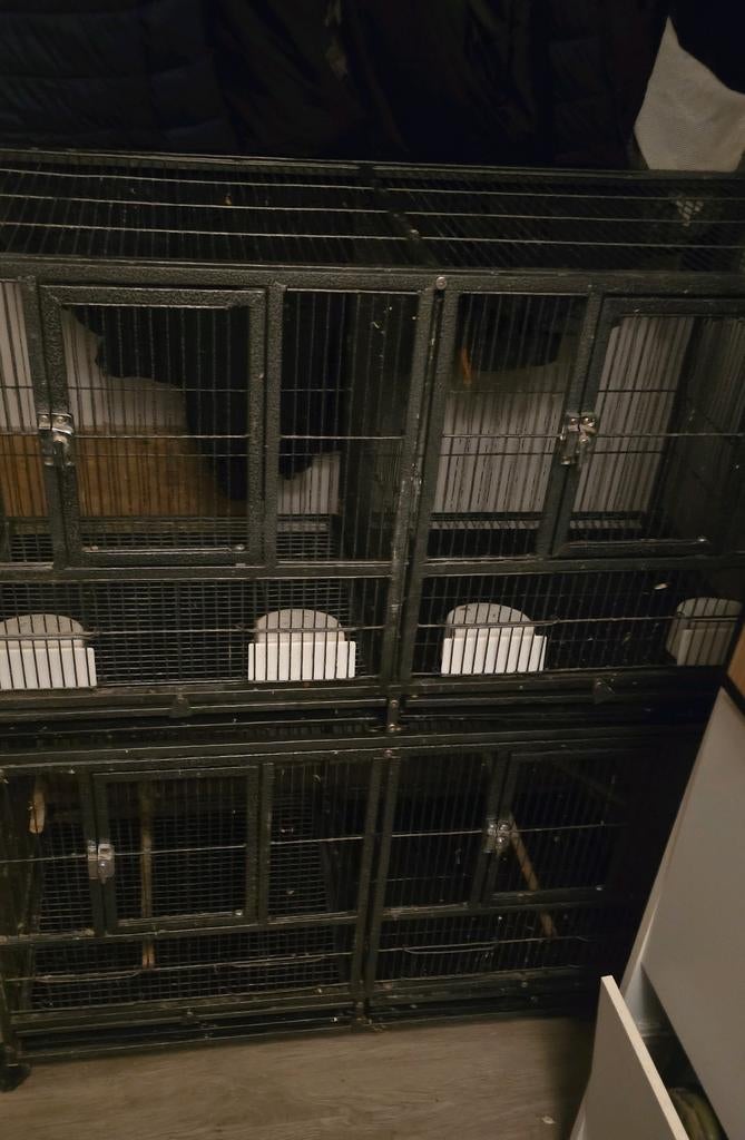 Vogelkooi 2 verdiepingen., Ophalen, Gebruikt, Metaal, Vogelkooi