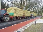 Te koop mooi balen hooi, Dieren en Toebehoren, Dierenvoeding, Ophalen of Verzenden, Vee