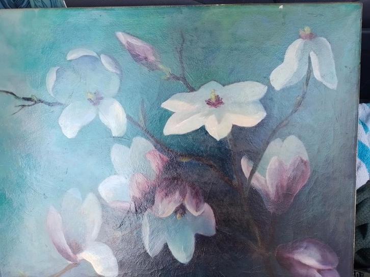 Magnolia Stilleven, A. Le Mirt, ca. 1950, Antiek en Kunst, Kunst | Schilderijen | Klassiek, Ophalen of Verzenden