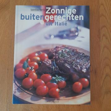 Zonnige Buitengerechten uit Italië - Kookboek beschikbaar voor biedingen