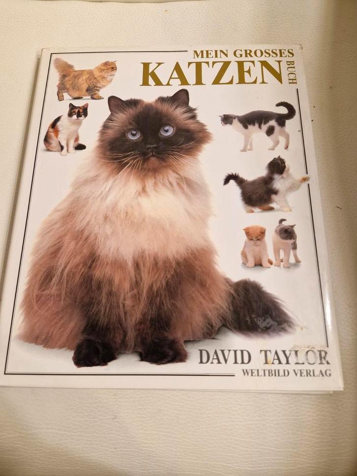 Mijn Grote Kattenboek - David Taylor, Boeken, Dieren en Huisdieren, Zo goed als nieuw, Katten, Ophalen of Verzenden