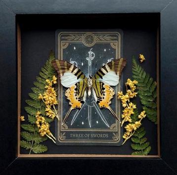 Opgezette vlinder met tarotkaart en droogbloemen  beschikbaar voor biedingen