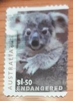 AUSTRALIE 2024 : KOALAS IN DANGER S.A, Ophalen of Verzenden