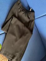 damesbroek grote maat, Blauw, Maat 46/48 (XL) of groter, Ophalen of Verzenden, Zo goed als nieuw