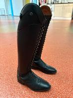 QHP Haily adult, Dressuur, Ophalen of Verzenden, Zo goed als nieuw, Dames