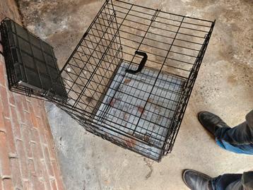 Honden bench beschikbaar voor biedingen