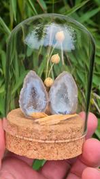 Mini Duo Agate Garden, Ophalen of Verzenden, Mineraal