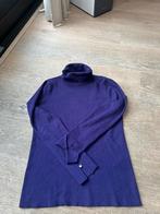 Dames trui studio AR maat L, Kleding | Dames, Ophalen of Verzenden, Zo goed als nieuw, Maat 38/40 (M), Paars