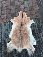 Dierenhuid - 110x60 cm - Mooie decoratie, Gebruikt, 100 tot 150 cm, Wit, Overige vormen