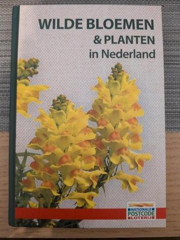 Wilde bloemen & planten in Nederland beschikbaar voor biedingen