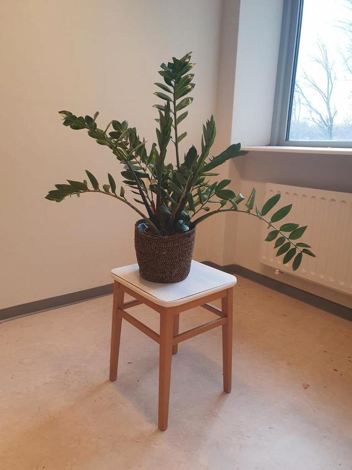 Retro plantentafeltje/bijzettafeltje met formica blad, Huis en Inrichting, Stoelen, Gebruikt, Eén, Hout, Kunststof, Bruin, Ophalen