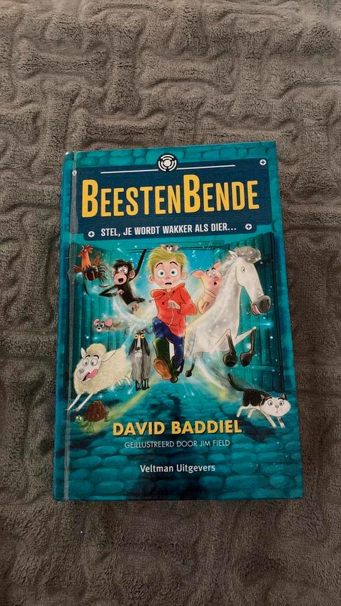 David Baddiel - Beestenbende, Boeken, Kinderboeken | Jeugd | 10 tot 12 jaar, Zo goed als nieuw, Ophalen of Verzenden