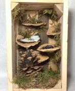 Klein kratje met vlinder en kever, Antiek en Kunst, Curiosa en Brocante, Ophalen of Verzenden