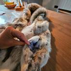 Bodywarmer Jacky Luxury van (echt) konijnenbont 41/M, Ophalen of Verzenden, Zo goed als nieuw, Maat 38/40 (M), Wit