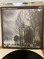 Bintangs - Travelling in the U.S.A. LP, Ophalen of Verzenden, Zo goed als nieuw, 12 inch, Progressive
