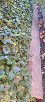 Azobe hout plank. Damwand. Hardhoutenplank., Tuin en Terras, Palen, Balken en Planken, Ophalen, 250 cm of meer, Planken