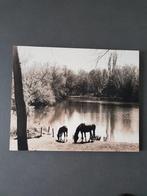 Schilderij paarden, Huis en Inrichting, Woonaccessoires | Schilderijen, Tekeningen en Foto's, Ophalen, Schilderij