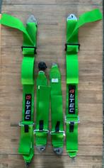 LTEC 4 punts veiligheids gordels, Ophalen, Zo goed als nieuw