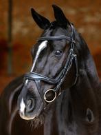 LeMieux Arika Split Hoofdstel Zwart Full SALE!, Ophalen of Verzenden, Nieuw, Dressuur