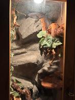 Terrarium 193 hoog 45 diep 50 breed met rotswand, Dieren en Toebehoren, Reptielen en Amfibieën | Toebehoren, Ophalen, Gebruikt