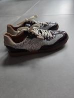 Steve Madden Emporia Burgundy Maat 39, Steve Madden, Ophalen of Verzenden, Rood, Sneakers of Gympen