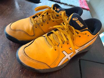 Asics Hockey Schoenen Maat 39 beschikbaar voor biedingen
