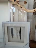 Ingelijste veren prints - set van 2, Minder dan 50 cm, Overige typen, Nieuw, Ophalen of Verzenden