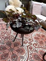 robuuste bloempot op poten koperkleurig brons Dutchbone, Tuin en Terras, Bloempotten, Rond, Binnen, Zo goed als nieuw, Metaal