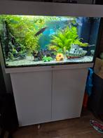 Aquarium 80cm incl alles, Ophalen of Verzenden, Zo goed als nieuw, Gevuld zoetwateraquarium