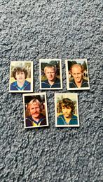 Sc Cambuur panini Vanderhout 1980-1981, Verzamelen, Spelerskaart, Ophalen of Verzenden, Zo goed als nieuw