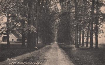 Delden, Laan Almeloscheweg (Jaren 10) 130282 beschikbaar voor biedingen