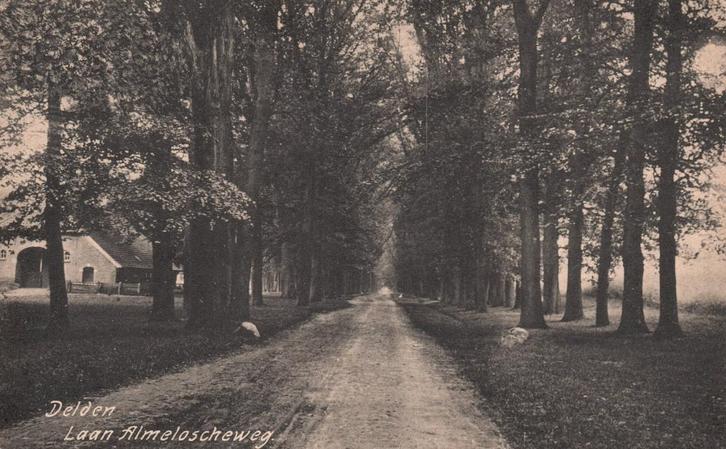 Delden, Laan Almeloscheweg (Jaren 10) 130282, Verzamelen, Ansichtkaarten | Nederland, Ongelopen, Overijssel, Voor 1920, Verzenden