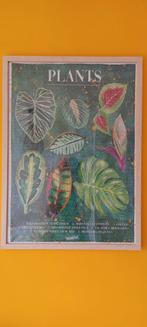 Plantenpuzzel van Bloompost in lijst, Ophalen