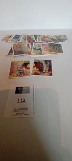 Winnie the pooh panni stickers, Hobby en Vrije tijd, Ophalen of Verzenden, Meerdere stickers