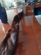 Vintage Nerts Bont Sjaal, Nerts, Ophalen, Nieuw