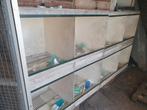 Broedkooien, Dieren en Toebehoren, Ophalen, Gebruikt, Hout, Broedkooi of Kweekkooi