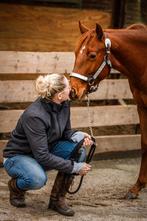 Knappe 2 jarige quarter horse, Dieren en Toebehoren, Merrie