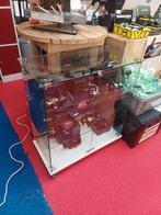 Glazen vitrine, Met deur(en), Nieuw, Glas, Minder dan 100 cm