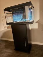 Juwel PrimoLux 60  aquarium, Dieren en Toebehoren, Ophalen, Gebruikt, Verlichting of Verwarming