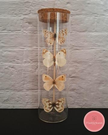 Vlinderbuis – natuurlijke elegantie in glas beschikbaar voor biedingen