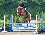 Hulp met uitmesten van paardenstallen