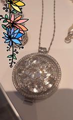 Zilveren munt ketting, Sieraden, Tassen en Uiterlijk, Kettingen, Ophalen of Verzenden, Zo goed als nieuw, Zilver, Zilver