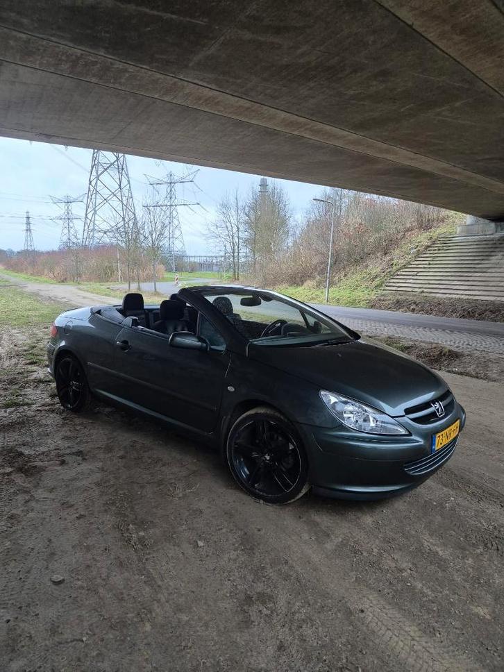 Peugeot 307 2.0 16V CC AUT 2004 Grijs, Auto's, Peugeot, Bedrijf, ABS, Airbags, Airconditioning, Alarm, Boordcomputer, Centrale vergrendeling