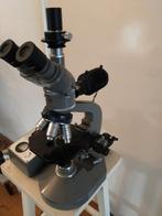 Olympus FH achromatic compound, Ophalen of Verzenden, Gebruikt, Minder dan 400x, Stereomicroscoop